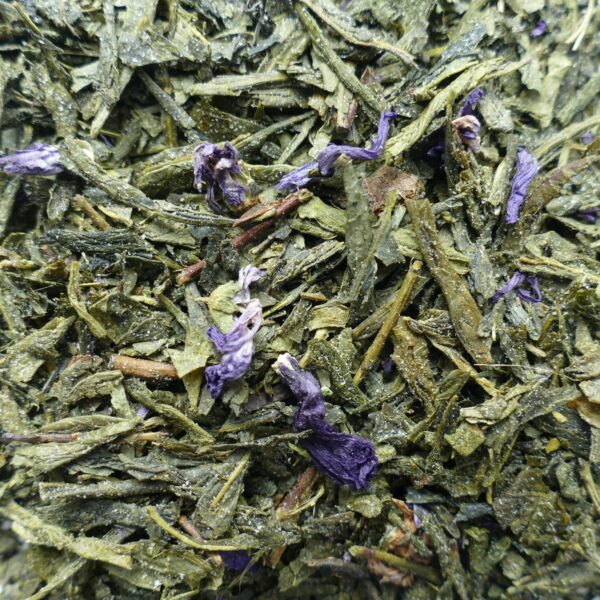 Sencha Kombucha mit Pflaumen-Geschmack